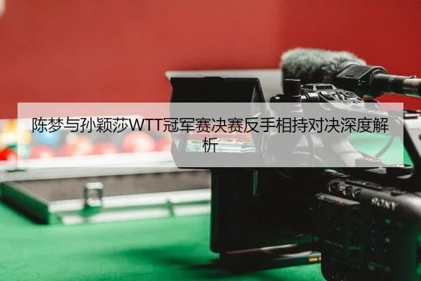 chen-meng-yu-sun-ying-sha-guan-jun-sai-jue-sai-fan-shou-xiang-chi-dui-jue-shen-du-jie-xi-3-149.jpg