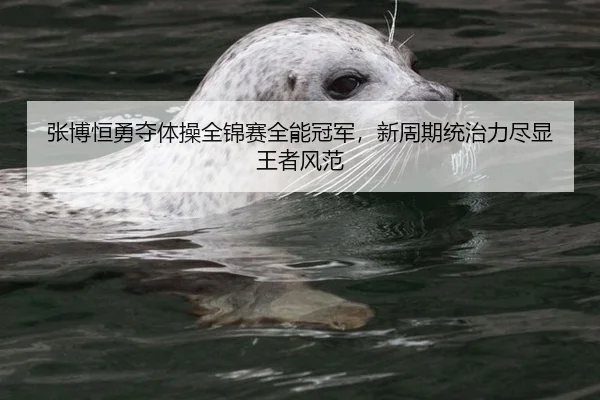 张博恒勇夺体操全锦赛全能冠军，新周期统治力尽显王者风范