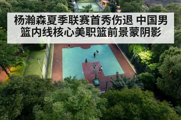 杨瀚森夏季联赛首秀伤退 中国男篮内线核心美职篮前景蒙阴影