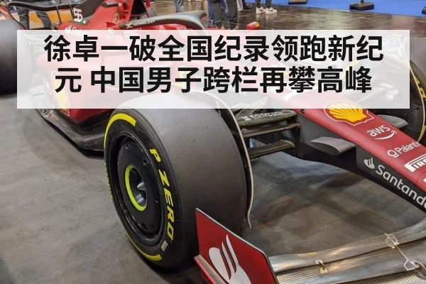 徐卓一破全国纪录领跑新纪元 中国男子跨栏再攀高峰