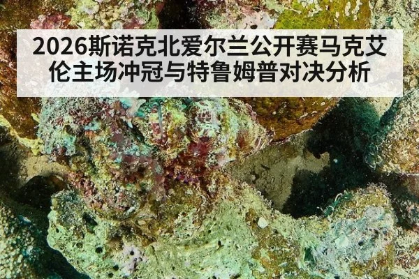 2026斯诺克北爱尔兰公开赛马克艾伦主场冲冠与特鲁姆普对决分析
